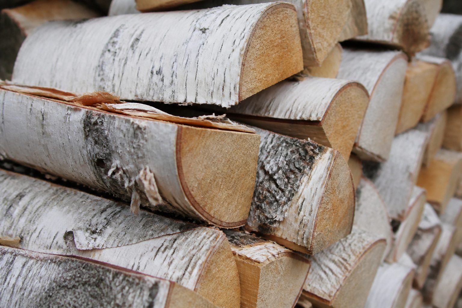 Bouleau bois de chauffage : 5 repères avant d’en remplir votre abri